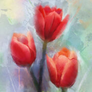 tulips