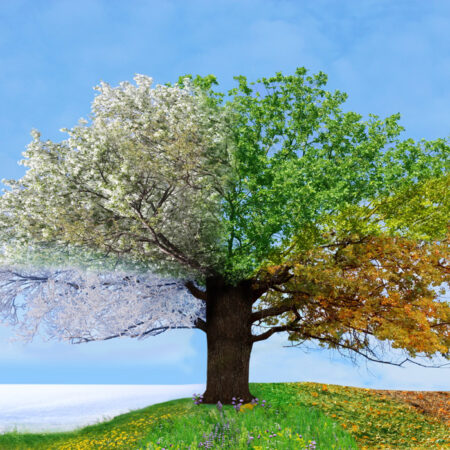 Πινακας σε καμβά 4 SEASONS TREE - Ουρανος - Καιρικα φαινομενα Sticky 4