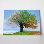 Πινακας σε καμβά 4 SEASONS TREE