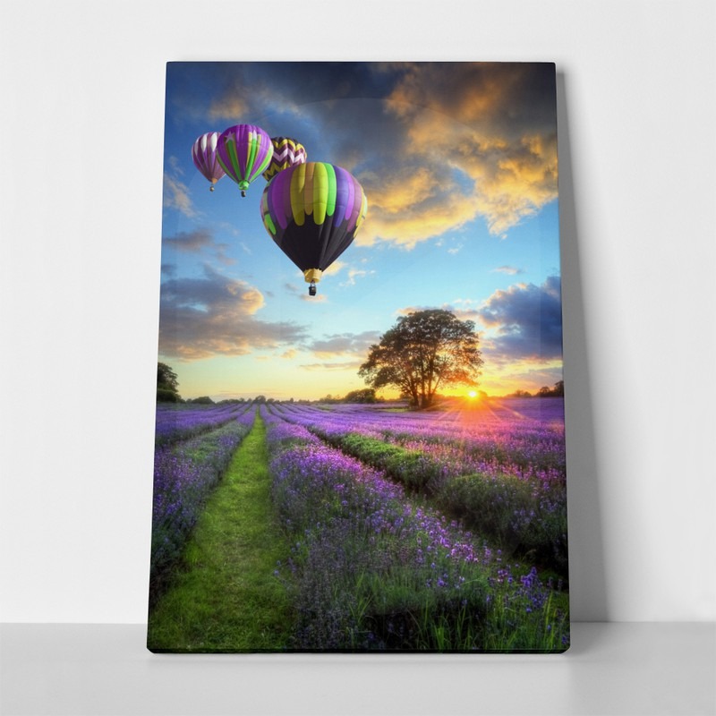 Πινακας σε καμβά BALLOONS