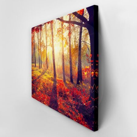 Πινακας σε καμβά BEAUTIFUL AUTUMN PARK 2 - Δασος Sticky 3