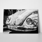 Πινακας σε καμβά BEETLE