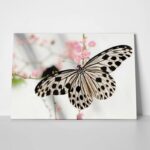 Πινακας σε καμβά BUTTERFLY