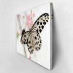 Πινακας σε καμβά BUTTERFLY