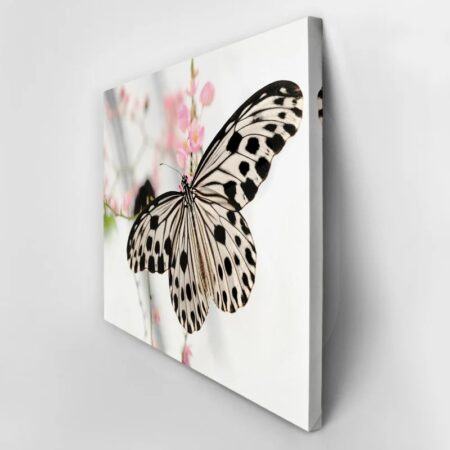Πινακας σε καμβά BUTTERFLY - Πεταλουδες Sticky 2