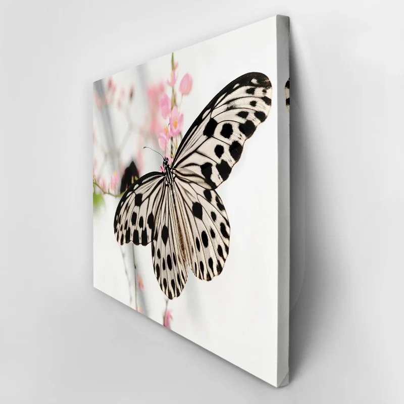 Πινακας σε καμβά BUTTERFLY