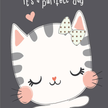 Πινακας σε καμβά CAT PERFECT DAY - Παιδικοι και set Sticky 5