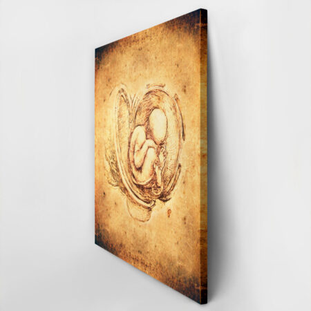 Πινακας σε καμβά DA VINCI - STYLE FETUS - Leonardo Da Vinci Sticky 2