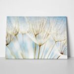Πινακας σε καμβά DANDELION