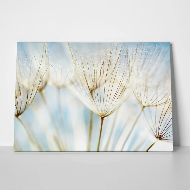 Πινακας σε καμβά DANDELION