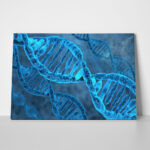 Πινακας σε καμβά DNA