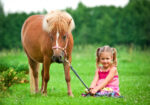 Πινακας σε καμβά GIRL PONY