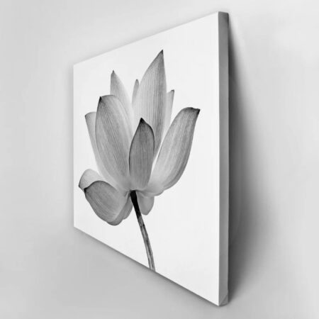 Πινακας σε καμβά LOTUS FLOWER GREY WHITE - Botanical - Φυτα Sticky 2
