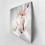 Πινακας σε καμβά MONOCHROME MAGNOLIAS