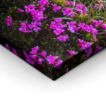 Πινακας σε καμβά MOUNTAIN FLOWERS