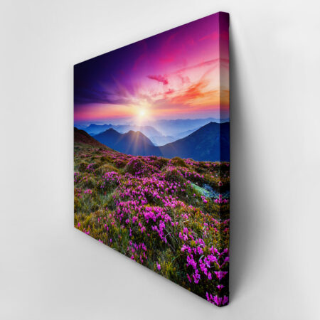 Πινακας σε καμβά MOUNTAIN FLOWERS - Βουνα Sticky 2