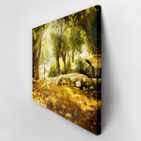 Πινακας σε καμβά OLIVE TREES 2 - Υπαιθρος Sticky 3