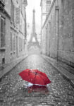 Πινακας σε καμβά PARIS RAIN 2