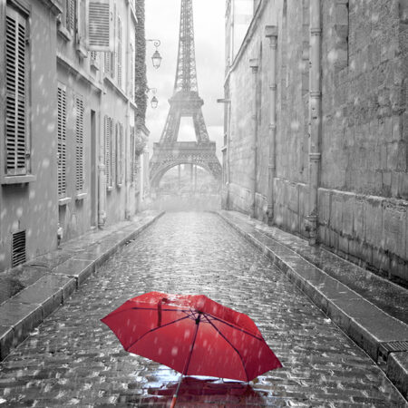 Πινακας σε καμβά PARIS RAIN 2 - Παρισι Sticky 5