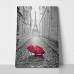 Πινακας σε καμβά PARIS RAIN 2
