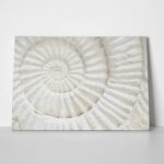 Πινακας σε καμβά PREHISTORIC FOSSIL MACRO