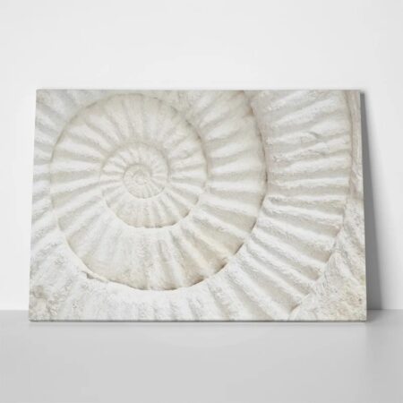 Πινακας σε καμβά PREHISTORIC FOSSIL MACRO