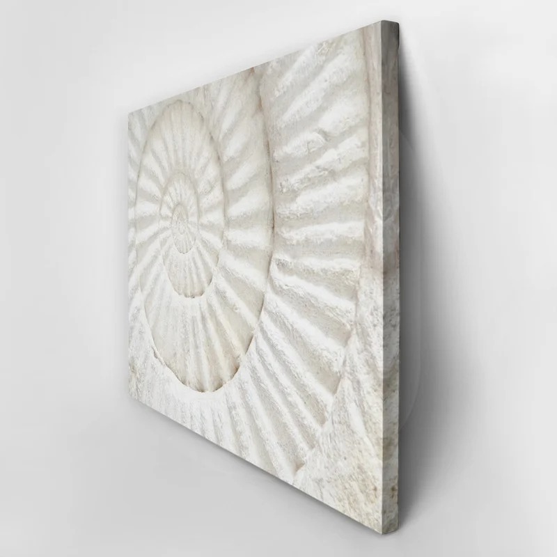 Πινακας σε καμβά PREHISTORIC FOSSIL MACRO