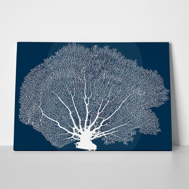 Πινακας σε καμβά SEA FAN