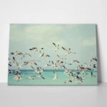 Πινακας σε καμβά SEAGULLS OVER SEA
