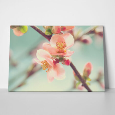 Πινακας σε καμβά SPRING BLOSSOM - Ανθη Δεντρων Sticky 1