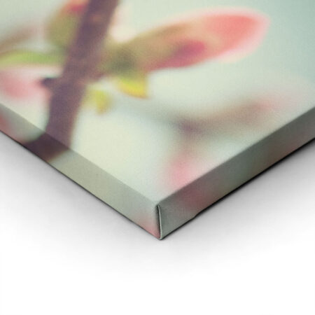 Πινακας σε καμβά SPRING BLOSSOM - Ανθη Δεντρων Sticky 2