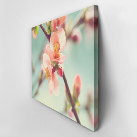 Πινακας σε καμβά SPRING BLOSSOM - Ανθη Δεντρων Sticky 3