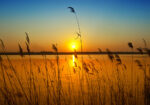 Πινακας σε καμβά SUNSET 1
