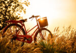 Πινακας σε καμβά SUNSET BIKE