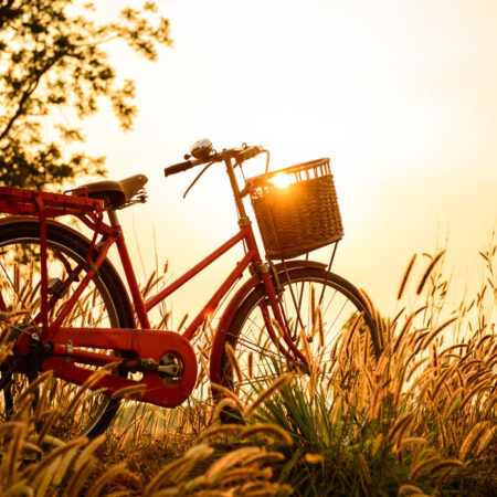 Πινακας σε καμβά SUNSET BIKE - Ποδηλατα Sticky 5