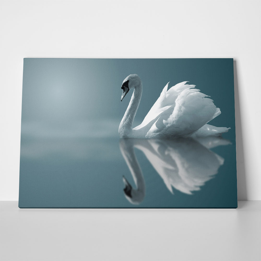 Πινακας σε καμβά SWAN