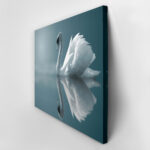 Πινακας σε καμβά SWAN