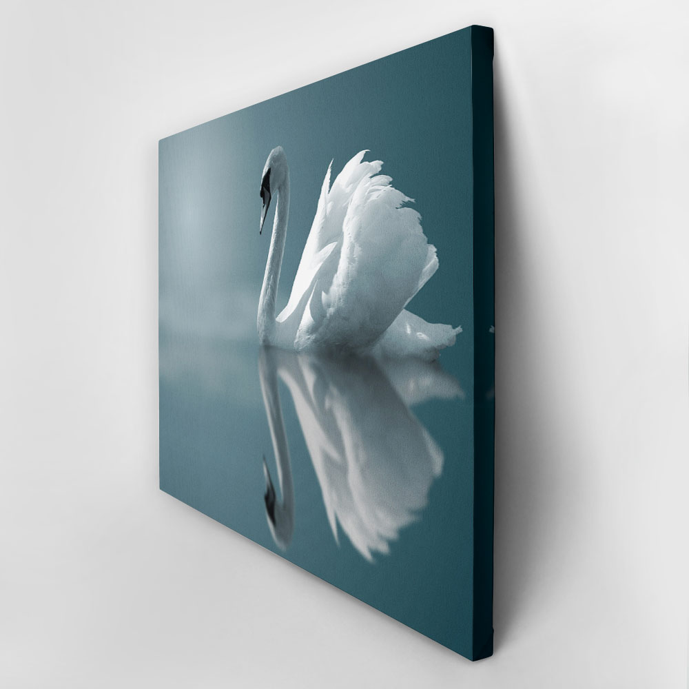 Πινακας σε καμβά SWAN