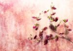 Πινακας σε καμβά TWIG OF FLOWERS ON GRUNGE BACKGROUND
