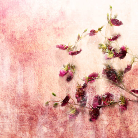 Πινακας σε καμβά TWIG OF FLOWERS ON GRUNGE BACKGROUND - Τριανταφυλλα Sticky 4