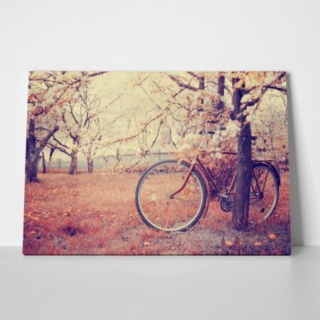 Πινακας σε καμβά VINTAGE BICYCLE FLOWERS
