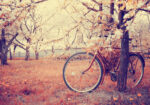 Πινακας σε καμβά VINTAGE BICYCLE FLOWERS