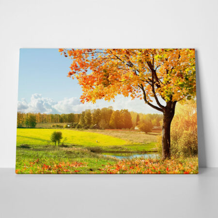 Πινακας σε καμβά AUTUMN TREE - Υπαιθρος