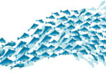 Πινακας σε καμβά BLUE SCHOOL FISH
