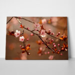 Πινακας σε καμβά JAPANESE CHERRY