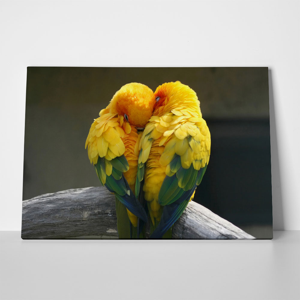 Πινακας σε καμβά LOVEBIRDS