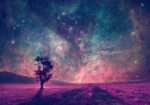 Πινακας σε καμβά MAGIC ALONE TREE