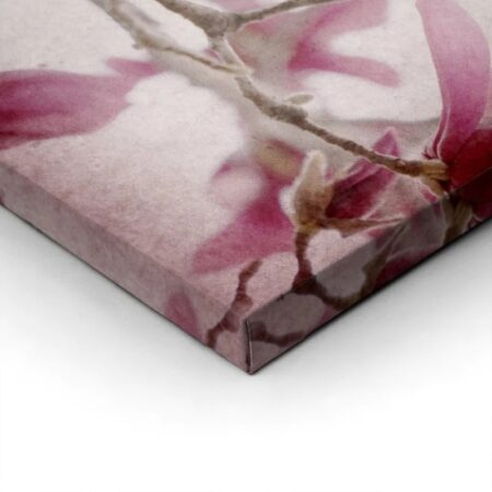 Πινακας σε καμβά MAGNOLIA FLOWERS ON OLD PAPER BACKGROUND - Μανολιες Sticky 1