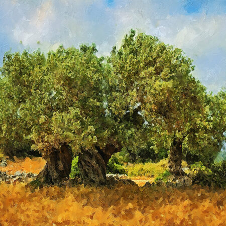 Πινακας σε καμβά OLIVE DRAWING 2 - Υπαιθρος Sticky 4