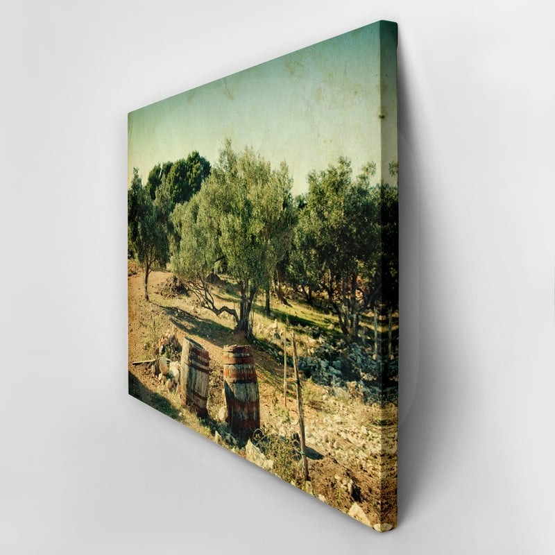 Πινακας σε καμβά VINTAGE OLIVE TREES